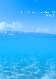 Half Underwater Photo34 Not AI