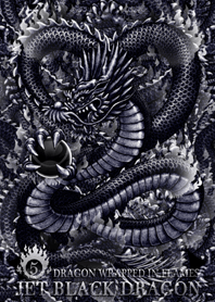 Jet black dragon 5