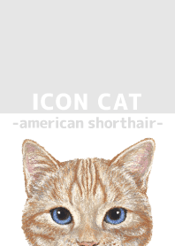 ICON CAT - American Shorthair - GRAY/04
