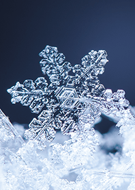幻想的な雪の結晶