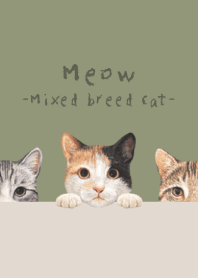 Meow - Mixed breed cat 01 - OLIVE