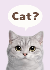 British Shorthair Simples 3 Purple 03