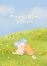 blooming season of flowers
