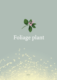 Khaki : Spring green luck up!