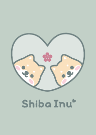 Shiba Inu Cherry blossoms-DullnessGreen