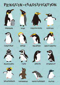 いろいろペンギン