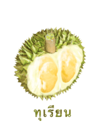 Ripe Durian 22