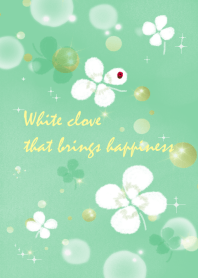 White clover that brings happiness 3