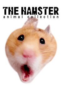 THEHAMSTER