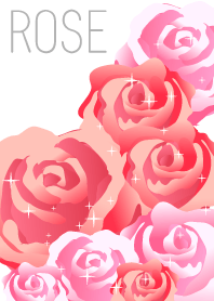 白×ピンクのバラ