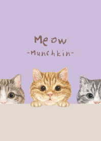 Meow - Munchkin - LAVENDER