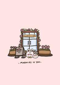 ร้านดอกไม้ มายเดซี่