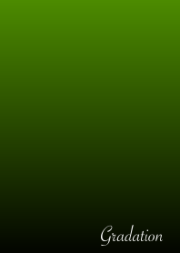 The Gradation No.1-B21