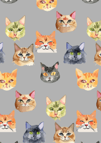 lots of cat faces on white