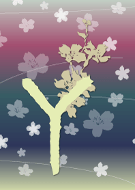 ~cherry blossoms initial Y~