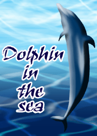 dolphin in the sea.