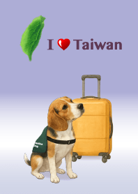 米格魯！我們愛台灣～也愛檢疫犬們。②