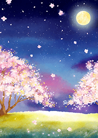 Beautiful night cherry blossoms#2295
