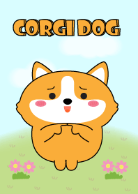 My Cute Corgi Dog Theme