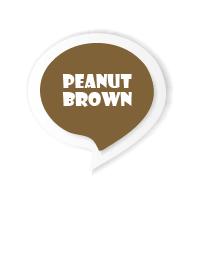 Peanut Brown Button In White V.3