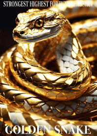 Golden snake  Lucky 37
