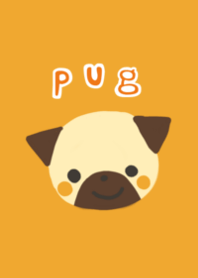 Pug