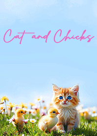 Cat and Chicks -Spring blue sky- pink