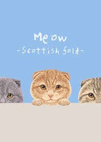 Meow - Scottish fold - SKY BLUE