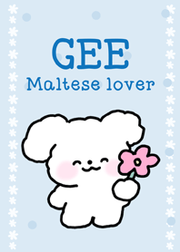 Gee : maltese lover