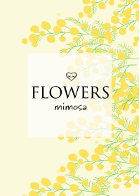 Flowers・ミモザ２