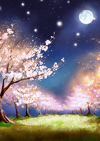 Beautiful night cherry blossoms#1542