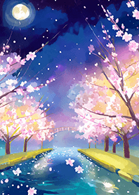 Beautiful night cherry blossoms#1424