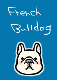bulldog Perancis sederhana sangat lucu
