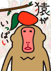 ลิงเป็นจำนวนมาก