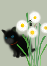 Narcissus & Black Cat