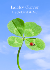 Lucky Clover Ladybird #6-3