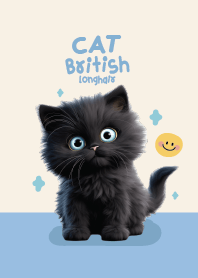 Cat Black : British Longhair