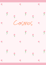 small cosmos on light pink