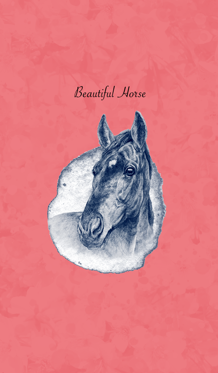 Beautiful Horse5