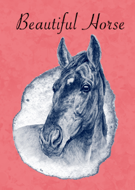 Beautiful Horse5