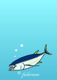 Thunnus