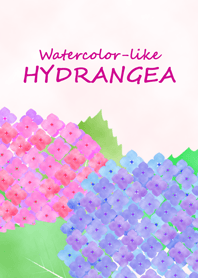 水彩風 紫陽花