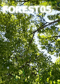 FOREST FOREST-05