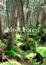 Moss Forest