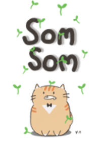 ส้มส้ม : แมวอ้วนสีส้ม