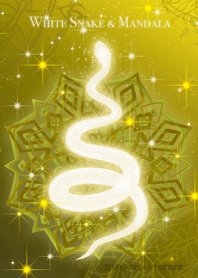 金運財運全体運UPの白蛇と曼荼羅