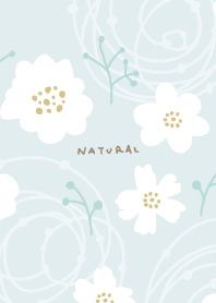 White flowers stylish cute28 from Japan