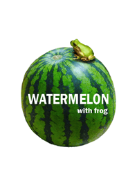 Watermelon and frog 3