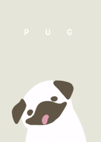 Dog Pug