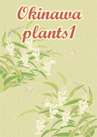 Okinawa plants1